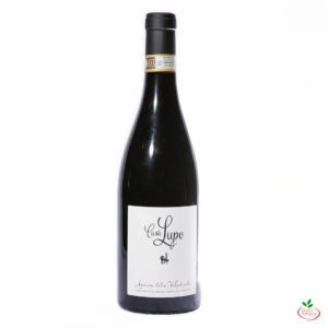 AMARONE DELLA VALPOLICELLA DOCG LUPO 2015, Cantina Pravisdomini, Veneto