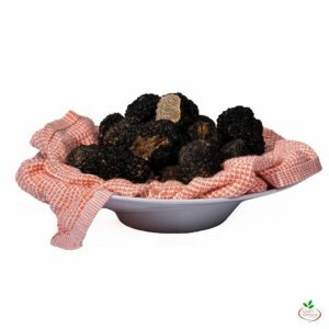 TRUFFE BLANCHE d'été D'ALBA tuber aestivum 80g
